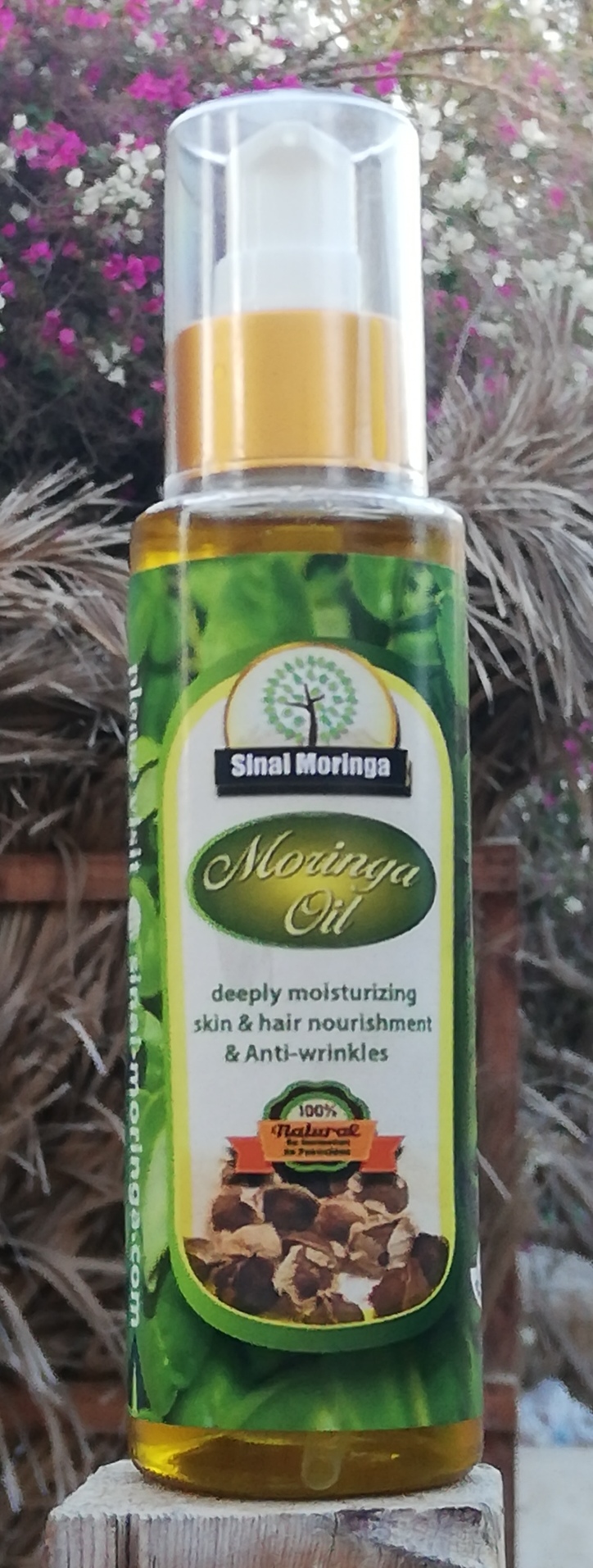 Moringa Oil