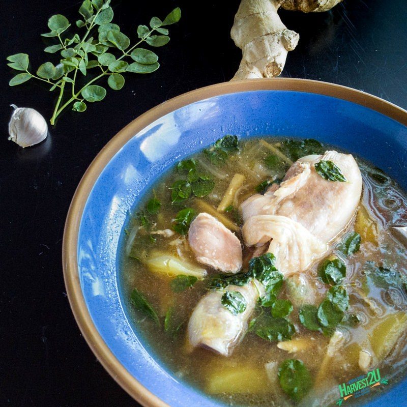 Moringa Chicken Soup