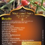 ⁦Camel Thorn⁩ - الصورة ⁦4⁩