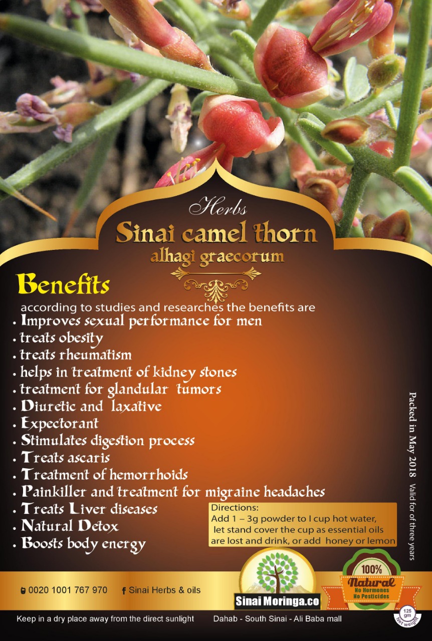 Camel thorn